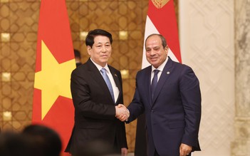 Việt Nam và Ai Cập nâng cấp quan hệ lên Đối tác toàn diện