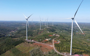 Lâm Đồng: Báo cáo 'gỡ vướng' 6 dự án điện gió chồng lấn quy hoạch