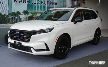 Người Việt giảm mua ô tô xăng