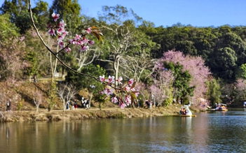 Đưa Măng Đen thành trung tâm nghỉ dưỡng thiên nhiên của Việt Nam