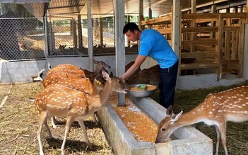 Về 'thủ phủ' nuôi hươu sao: Những tỉ phú trẻ