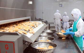 COFIDEC tiên phong chuyển đổi xanh, nâng tầm vị thế bền vững ngành thủy sản Việt Nam