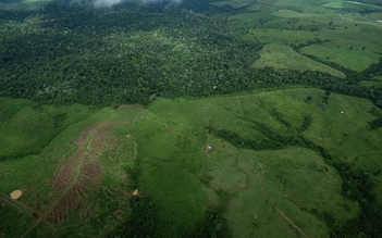Tầng ozone trên đà hồi phục, rừng Amazon lại thu hẹp đáng kể