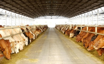 Nông nghiệp Hòa Phát chính thức nộp hồ sơ 'lên sàn'