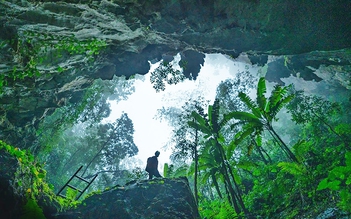 Ngành văn hóa thi đua yêu nước