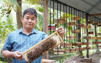 Nuôi ong mật theo hướng hữu cơ, lãi hơn 100 triệu đồng/tháng