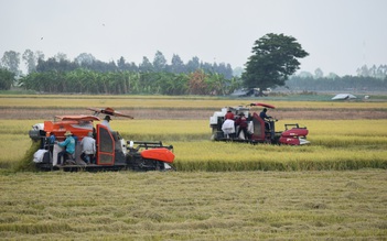 Đồng Tháp đột phá trong nông nghiệp, hướng đến phát triển nhanh và bền vững