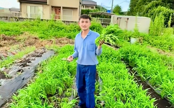 Vườn rau xanh mướt của chàng trai Việt tại Nhật Bản