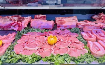 Giá heo hơi hôm nay 9.9.2025: Tăng mạnh đồng loạt