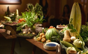 Những nốt hương kể chuyện 'từ đồng bằng đến non cao'