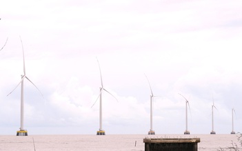 Dự án điện gió nghìn tỉ tại Cà Mau không phát hiện sai phạm sau thanh tra