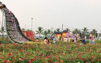Cánh đồng hoa tết mới toanh vừa mở cửa ‘gây sốt’