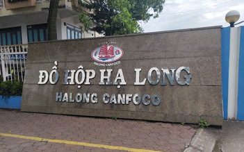 Bắt khẩn cấp Tổng giám đốc Công ty CP Đồ hộp Hạ Long
