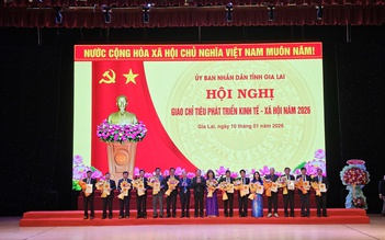 Gia Lai giao KPI phát triển kinh tế, xã hội đến 135 xã, phường