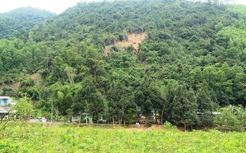 Sống trong nỗi lo núi lở