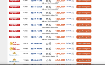 Nhiều người chọn 'xuân này không về' vì giá vé máy bay bằng cả tháng lương