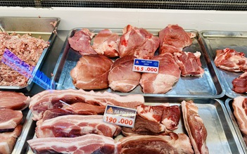 Giá heo hơi hôm nay 13.1.2026: Tiếp tục tăng nhiệt