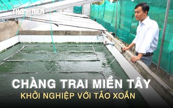 Nuôi ‘siêu thực phẩm’ tảo xoắn dưới nắng mưa miền Tây, chàng trai thu nhập 30 triệu đồng/tháng