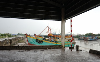 Xử lý nghiêm cán bộ nếu tàu cá không đủ điều kiện vẫn được 'ra khơi'