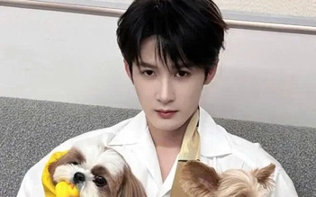 Ồn ào tình ái khiến sự nghiệp mỹ nam Đàn Kiện Thứ chao đảo