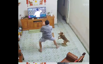Chú chó 'chiếm sóng' khi nhảy cẫng ăn mừng bàn thắng của Đình Bắc đội U.23 Việt Nam