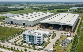 Cà Mau chấp thuận dự án nhà máy ván ghép thanh, viên nén gỗ 132 tỉ đồng