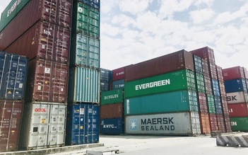 Nợ thuế hơn 600.000 đồng, 2 doanh nghiệp bị cưỡng chế ngưng thủ tục hải quan