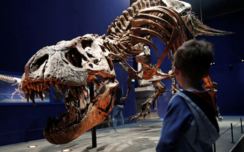 Phát hiện bí mật đằng sau sự thống trị của khủng long bạo chúa