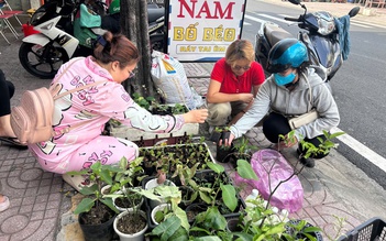 Đi chợ cây độc lạ: Đủ loại cây giá chỉ vài ngàn đồng