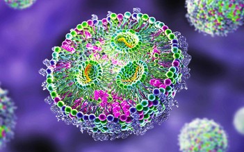 Phát hiện dạng sống mới trong cơ thể người