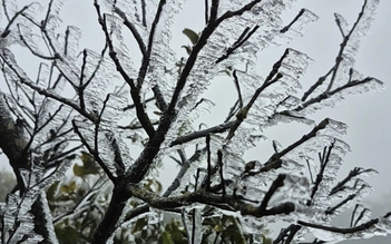 Băng giá trên đỉnh Mẫu Sơn hút khách du lịch check-in