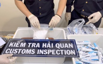 Hải quan Khu vực II chặn hàng trăm kg ma túy các loại tuồn về TP.HCM