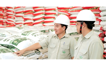 Phân bón NPK Việt Nhật, đâu phải chỉ riêng cho lúa