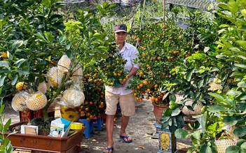 Nhà vườn hoa kiểng phập phồng vì thời tiết