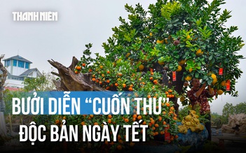 Ngắm chậu bưởi Diễn 'cuốn thư' giá trăm triệu 