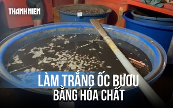 Hãi hùng cơ sở ‘làm đẹp’ ốc bươu bằng hóa chất