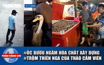 Toàn cảnh 17h: Hãi hùng 3.000 tấn ốc bươu ngâm hóa chất | Bắt người trộm thiên nga của Thảo Cầm Viên