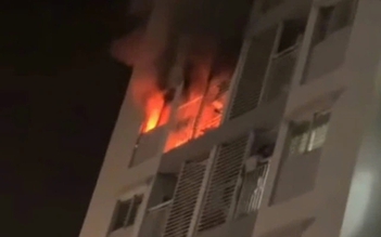 Vụ cháy chung cư ở TP.HCM: 2 mẹ con tử vong, cháu còn lại nguy kịch