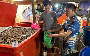 TP.HCM: Bắt vụ ngâm 3.000 tấn ốc bươu bằng 500 tấn hóa chất dùng trong xây dựng