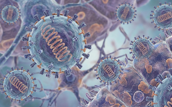 Virus Nipah: Nhanh trở nặng, dễ nhầm với cảm cúm hoặc sốt siêu vi