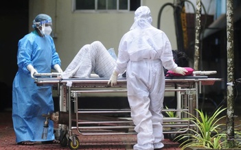 Vi rút Nipah tái xuất ở Ấn Độ: Đánh giá nguy cơ bùng phát tại Việt Nam