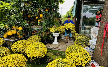 Chuyên gia thời tiết khuyến cáo đặc biệt với nhà vườn hoa tết