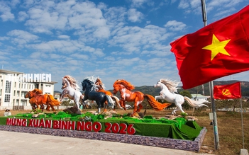 Dàn linh vật ngựa tái hiện bức 'mã đáo thành công' ở Quảng Trị