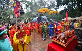 Ngày tết, ăn thịt heo bàn chuyện 'heo cúi'