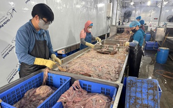 Công an Hà Nội thu hơn 60 tấn lòng lợn bẩn tại Công ty Dũng Phát