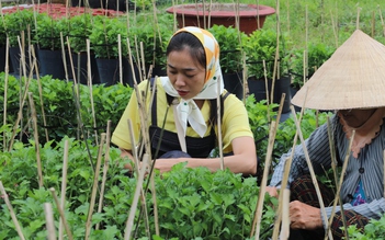 Xôn xao hình ảnh nữ diễn viên đi làm thuê với thu nhập 25.000 đồng/giờ