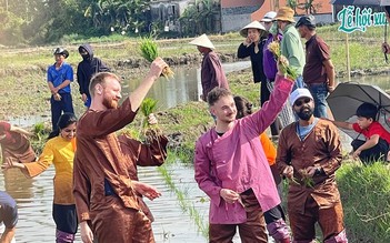 Khách Tây lội ruộng cấy lúa cùng nông dân