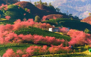 Việt Nam có 1 điểm đến 'tăng trưởng nhanh nhất châu Á'