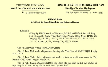 'Mất ăn mất ngủ’ vì bỗng dưng đứng tên doanh nghiệp rồi bị tạm hoãn xuất cảnh