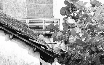 Triển lãm 'Thiên di': Những khoảnh khắc hữu hạn qua ảnh đen trắng